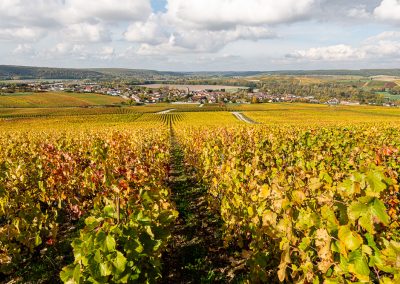 Celles-sur-Ource (10): paysage du vignoble Champenois de la côte des Bars sur la route touristique du Champagne.