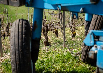 Photographe Viticole, reportage photos sur les travaux de la vigne pour le Champagne Notre-Dame-des-Vignes à Neuville-sur-Seine