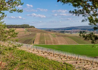 Photographe Viticole, paysage du vignoble de Champagne à Neuville-sur-Seine