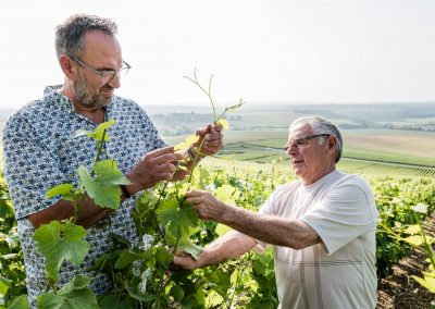 Photographe Viticole. Portrait de vigneron, adhérent à la coopérative De Barfontarc, à Baroville (10)