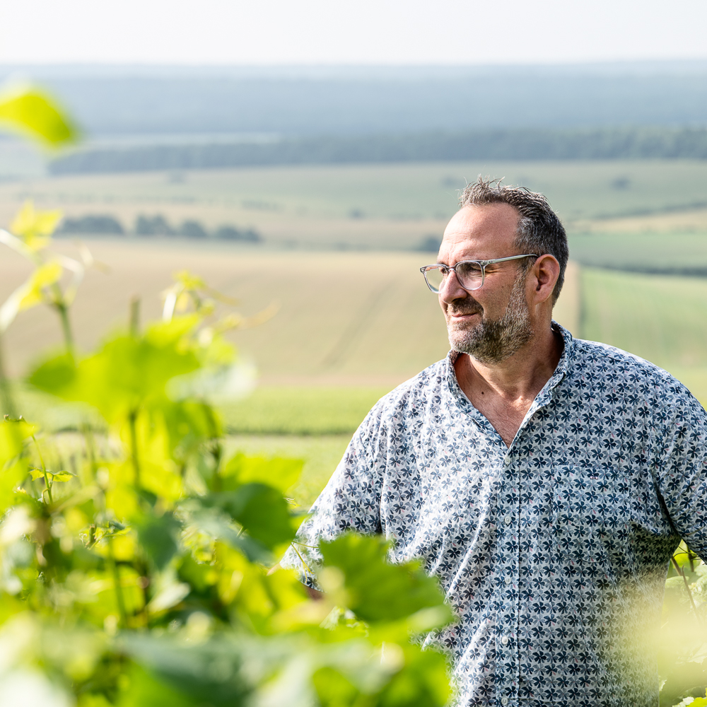 Photo portfolio. Portrait de vigneron.