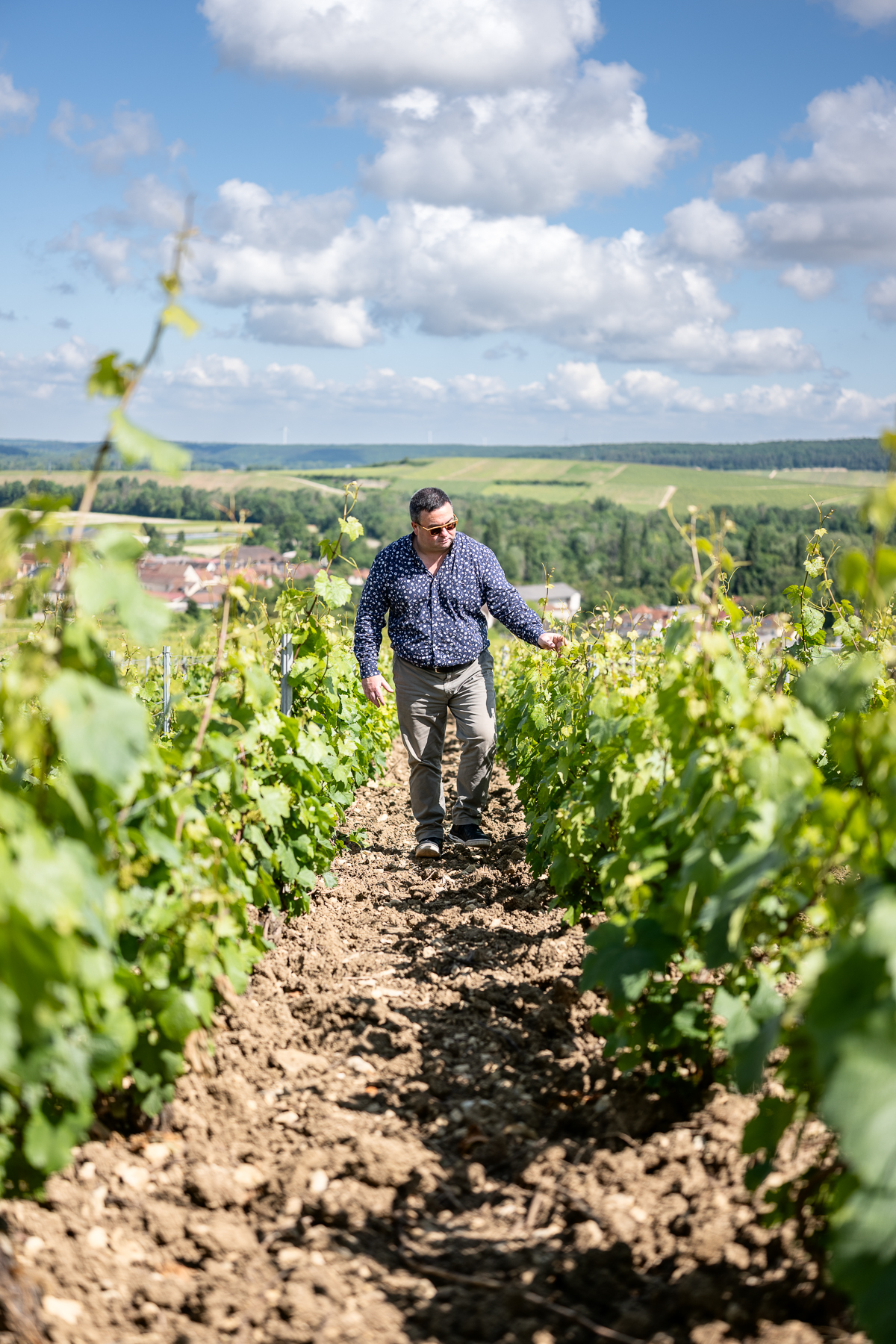 Photographe en vini-viticulture. Sylvain Bordier Photographe