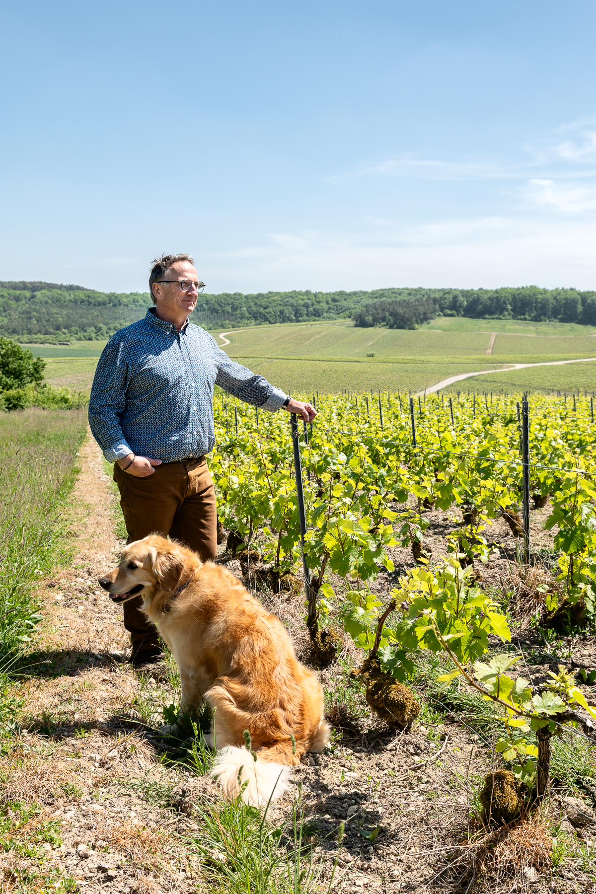 Photographe en vini-viticulture. Sylvain Bordier Photographe
