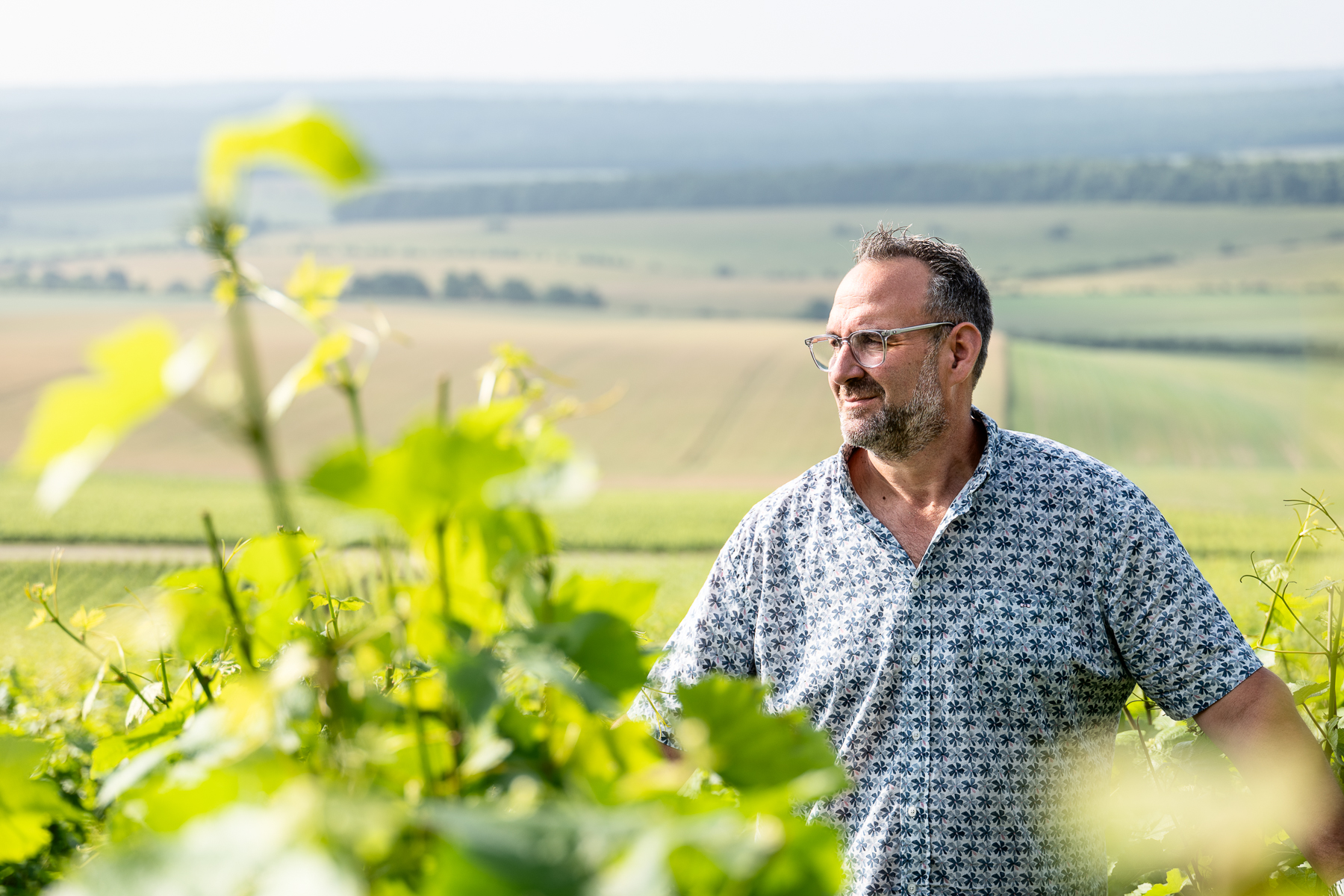Photographe en vini-viticulture. Sylvain Bordier Photographe