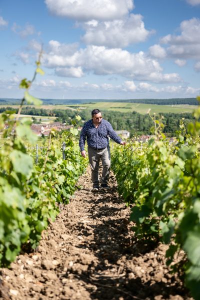 Photographe Viti-vinicole. Maison de Champagne Thomas Cheurlin