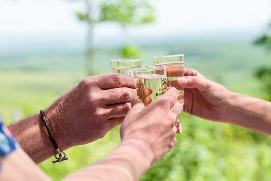 Photographe Viti-vinicole. Maison de Champagne De Barfontarc