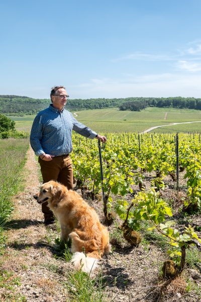 Photographe Viti-vinicole. Maison de Champagne De Barfontarc