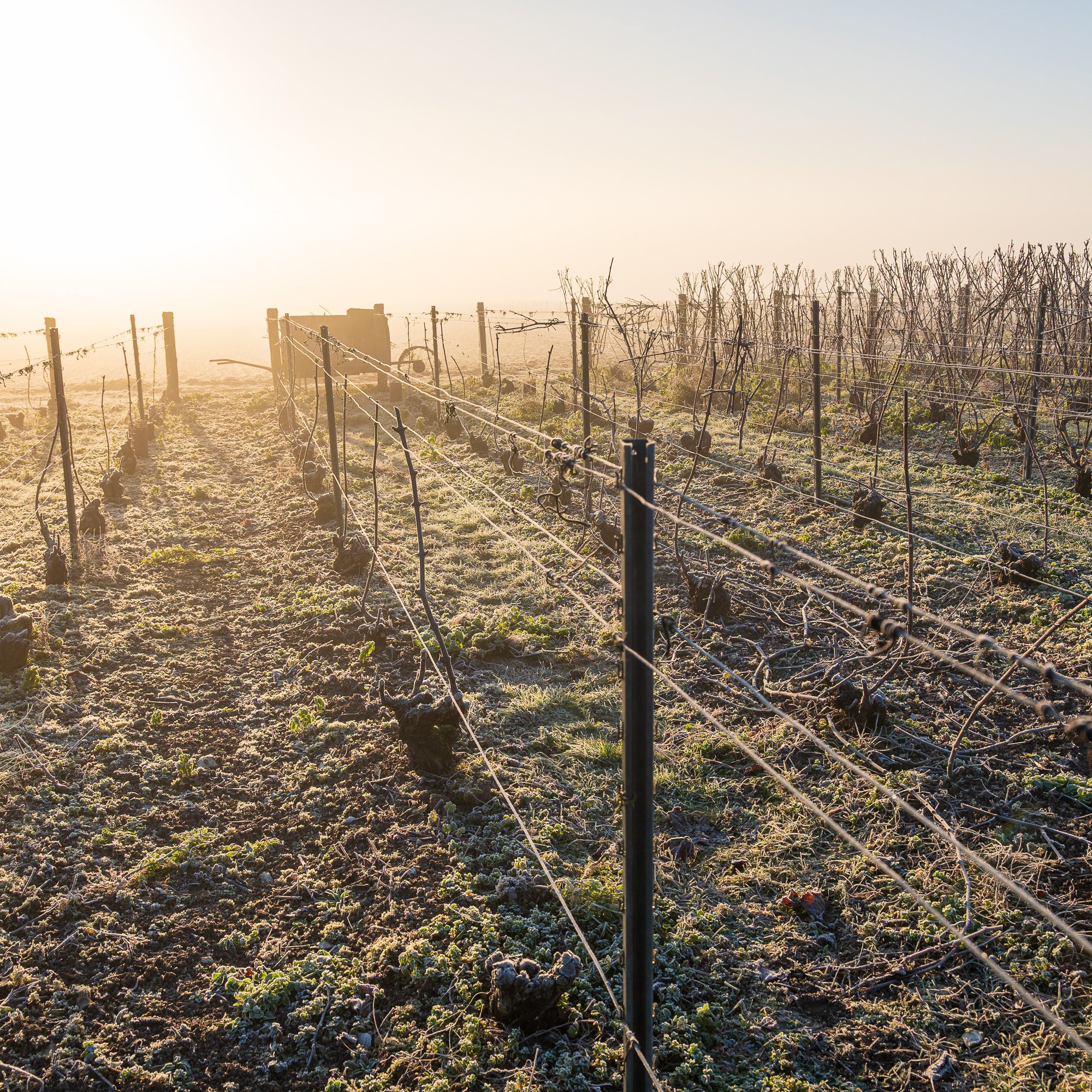 Sylvain Bordier, Photographe pour le Tourisme et le Patrimoine.