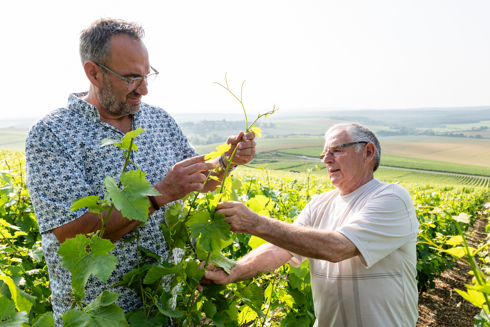 Photographe Portrait Corporate. Vigneron