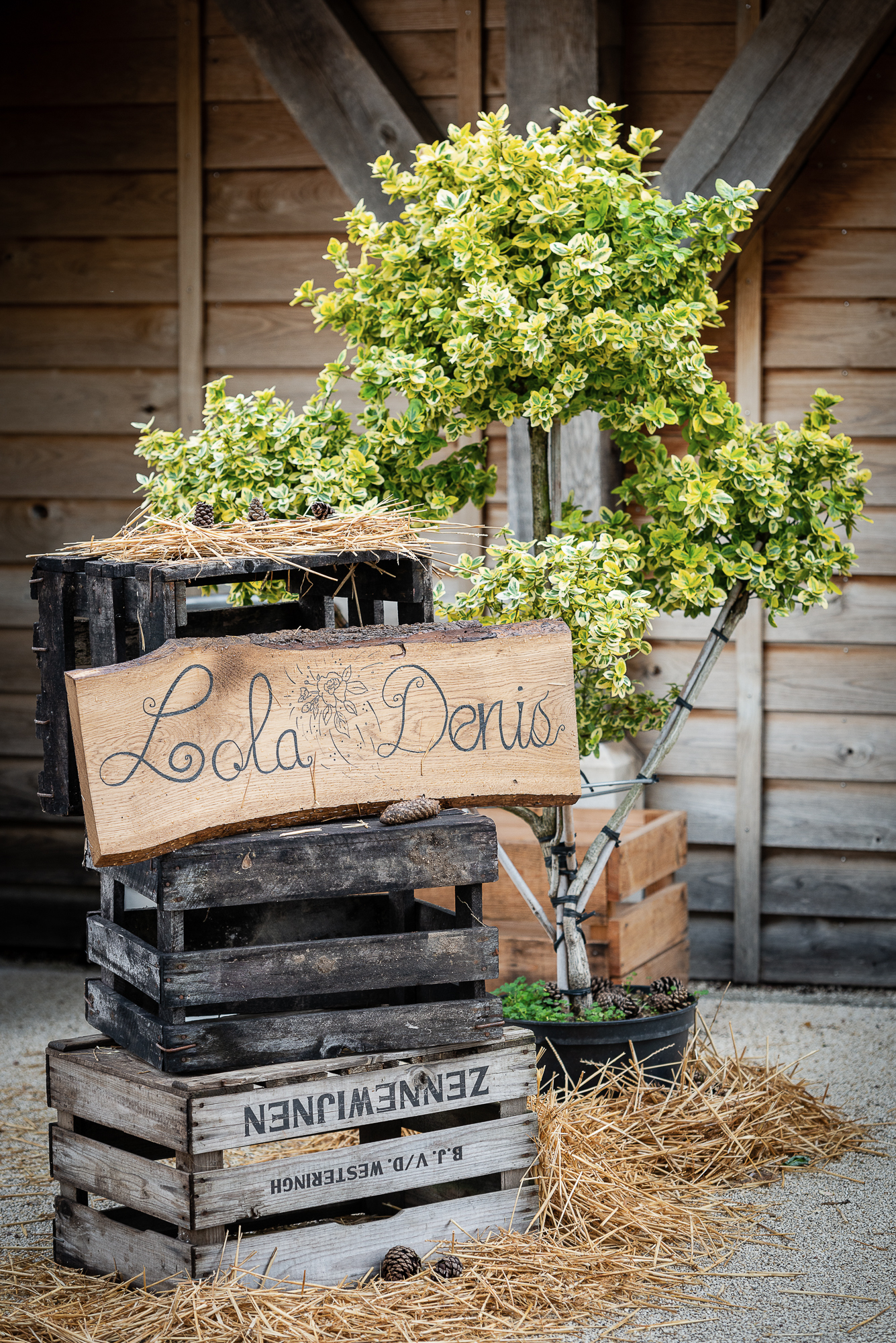 Sylvain Bordier - Photographe de Mariage à Troyes en Champagne.