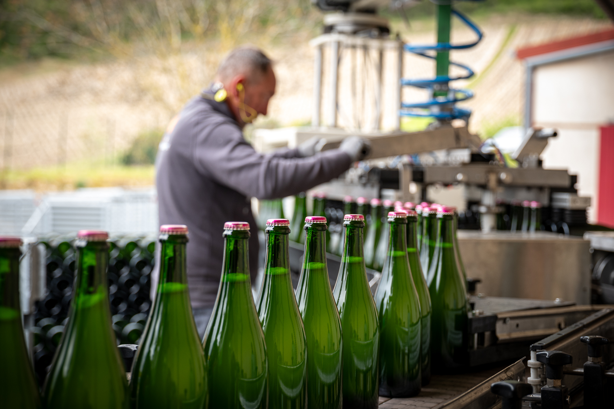 Photographe en vini-viticulture. Sylvain Bordier Photographe