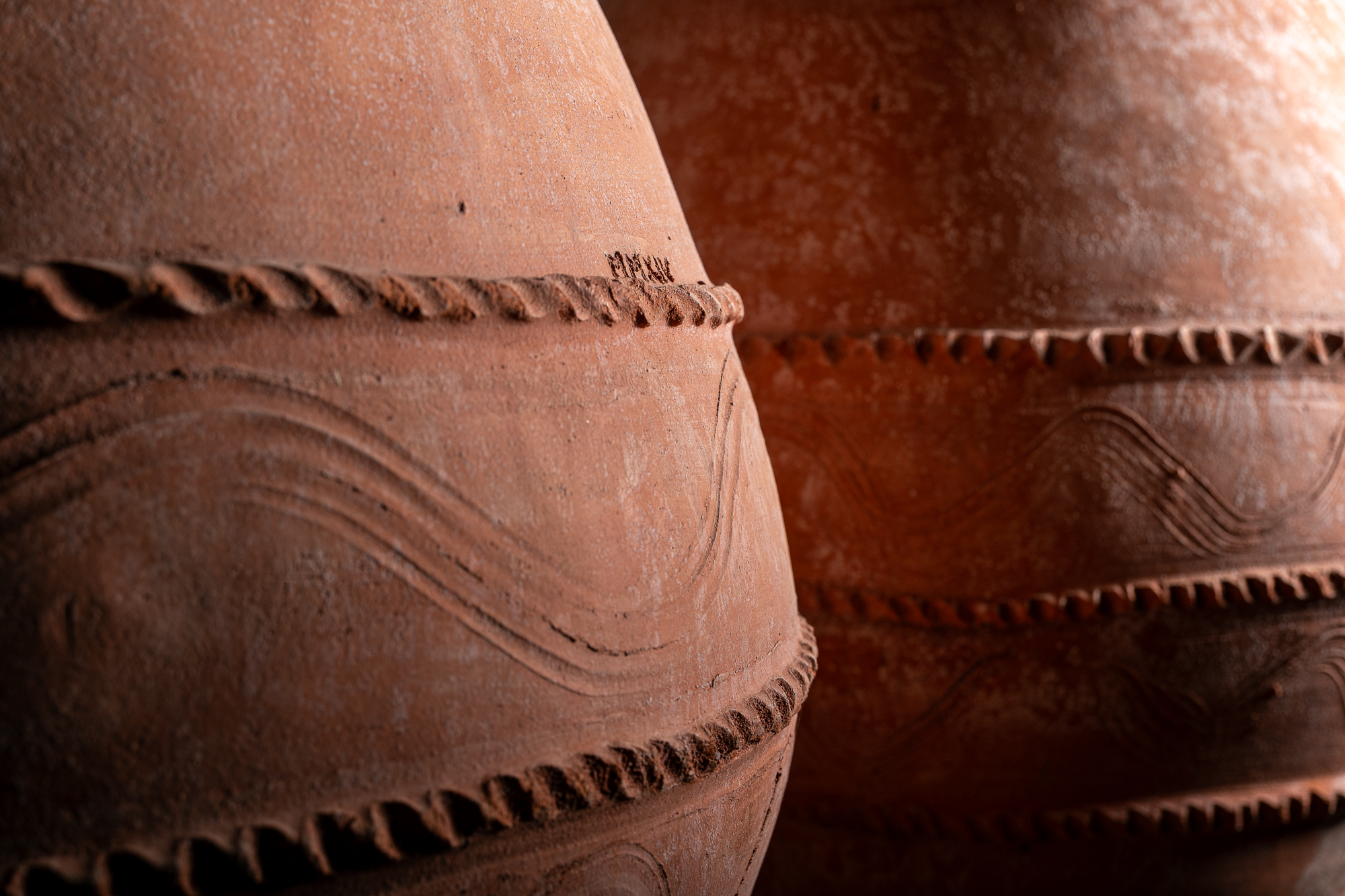 Photographe en vini-viticulture. Sylvain Bordier Photographe